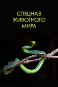 Постер Спецназ животного мира (Animal Special Forces)