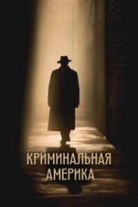 Постер Криминальная Америка (Killer USA)