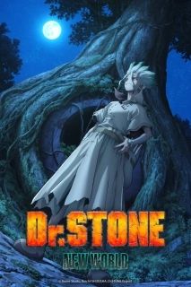 Доктор Стоун (1-4 сезон)